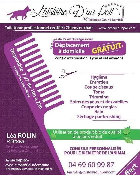 toiletteur
