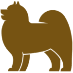 réserver en ligne votre toilettage à lyon - Flair Allure