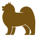 toilettage chien pas cher à Lyon - Villeurbanne et Pierre Bénite