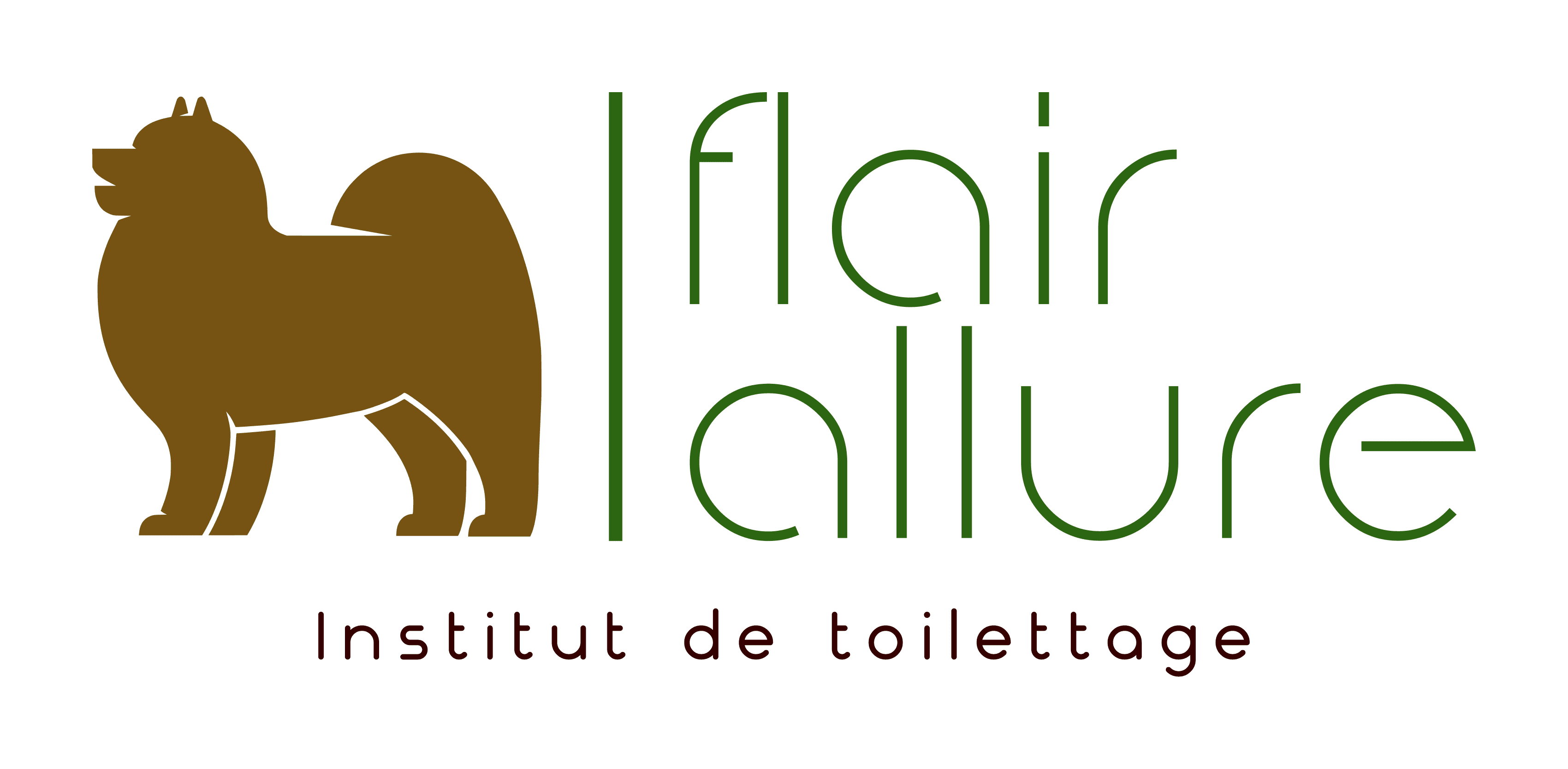 Logo du salon de toilettage Flair Allure à Lyon